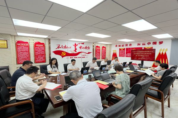 中小擔保黨委中心組第三季度學(xué)習(xí)副本9.19