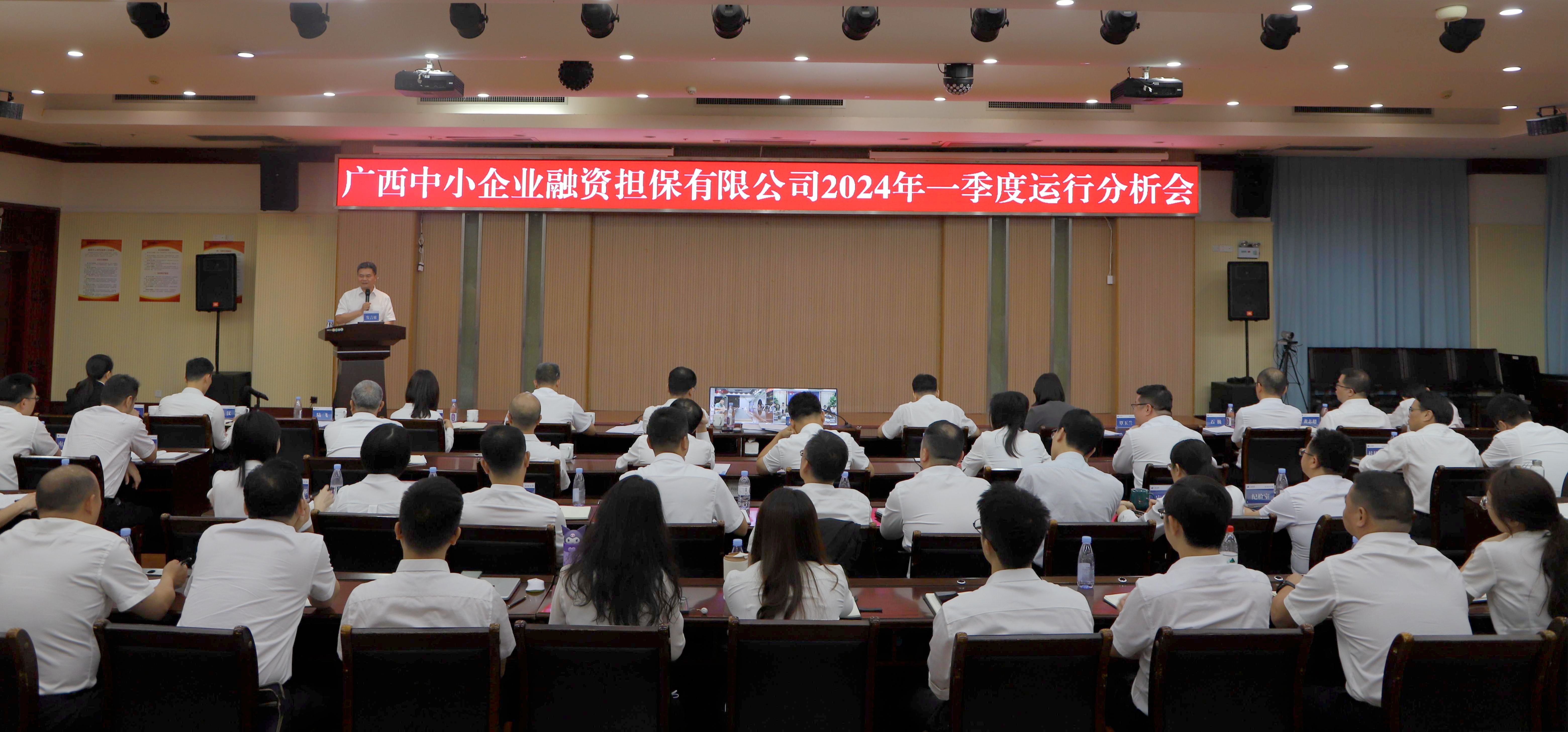 【落實(shí)落細(xì)落地，全力攻堅(jiān)“雙過(guò)半”】中小擔(dān)保召開(kāi)2024年一季度運(yùn)行分析會(huì)